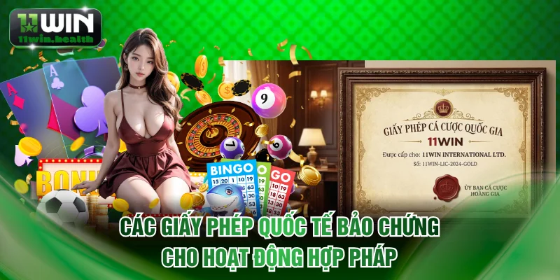 Các giấy phép quốc tế bảo chứng cho hoạt động hợp pháp