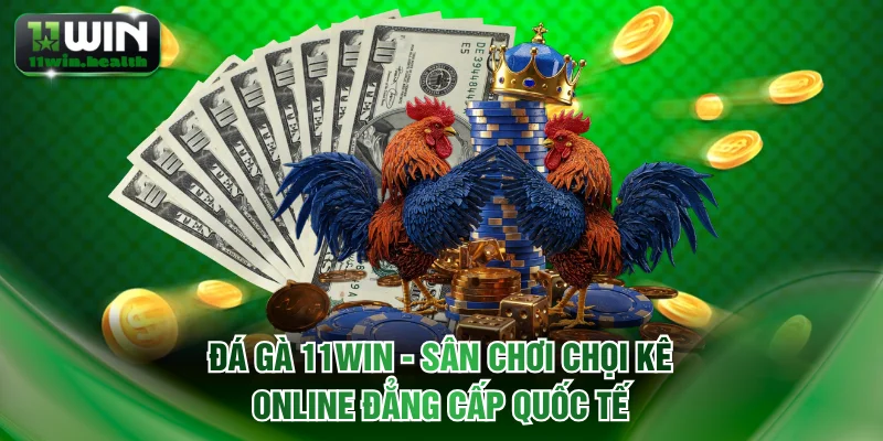 Đá Gà 11WIN - Sân Chơi Chọi Kê Online Đẳng Cấp Quốc Tế