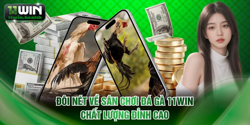 Đôi nét về sân chơi đá gà 11WIN chất lượng đỉnh cao
