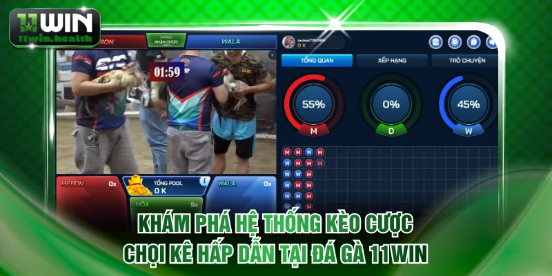 Khám phá hệ thống kèo cược chọi kê hấp dẫn tại đá gà 11WIN